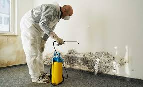 Best Mold Remediation for Vacation Homes  in Reliez Valley, CA